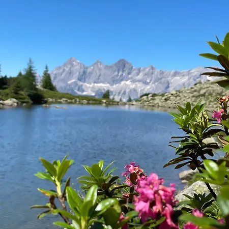 Lejlighed Haus Melody Schladming