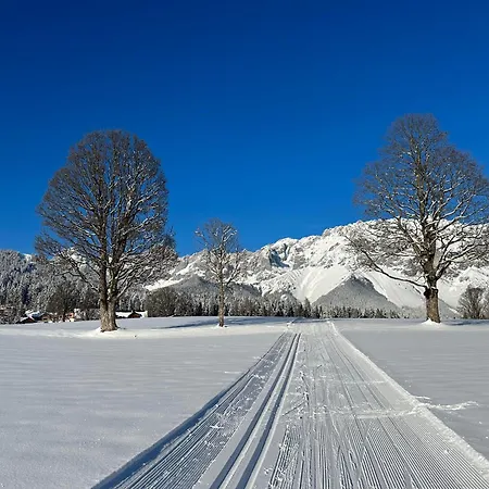 Haus Melody Lejlighed Schladming