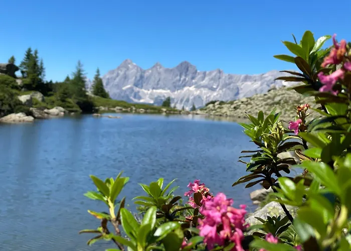 Апартаменты Haus Melody Шладминг