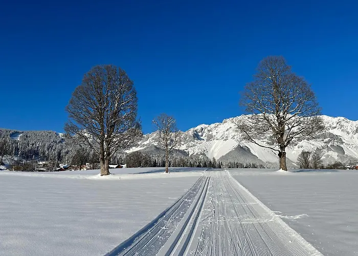 Haus Melody Appartement Schladming